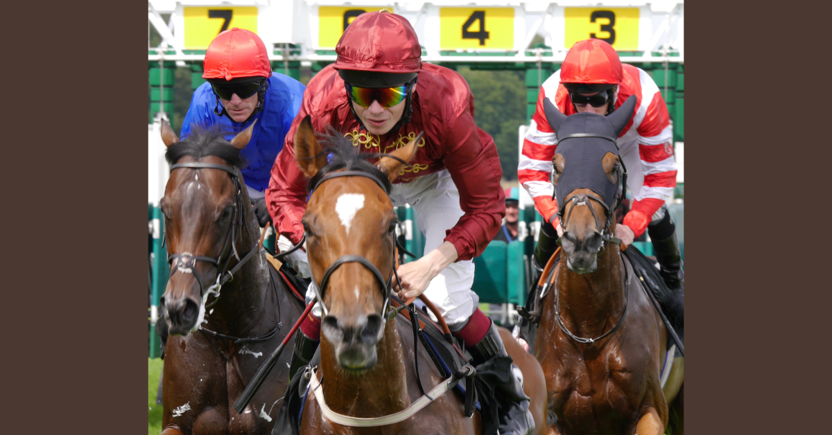 Horse racing betting