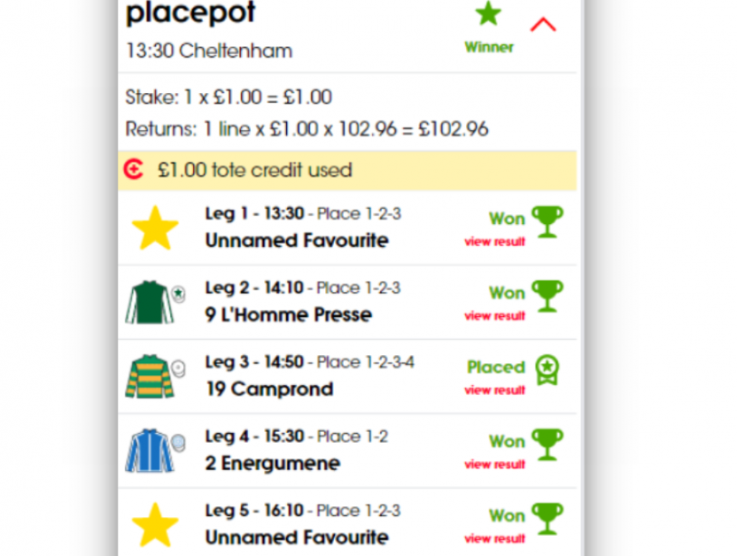 Tote Placepot and Quadpot PipBets