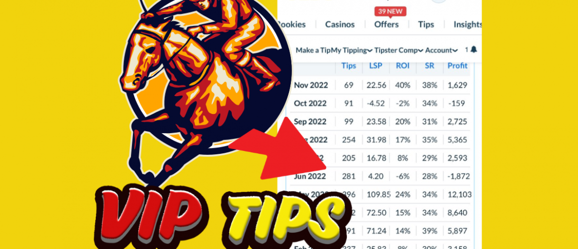 PipBets VIP Tips